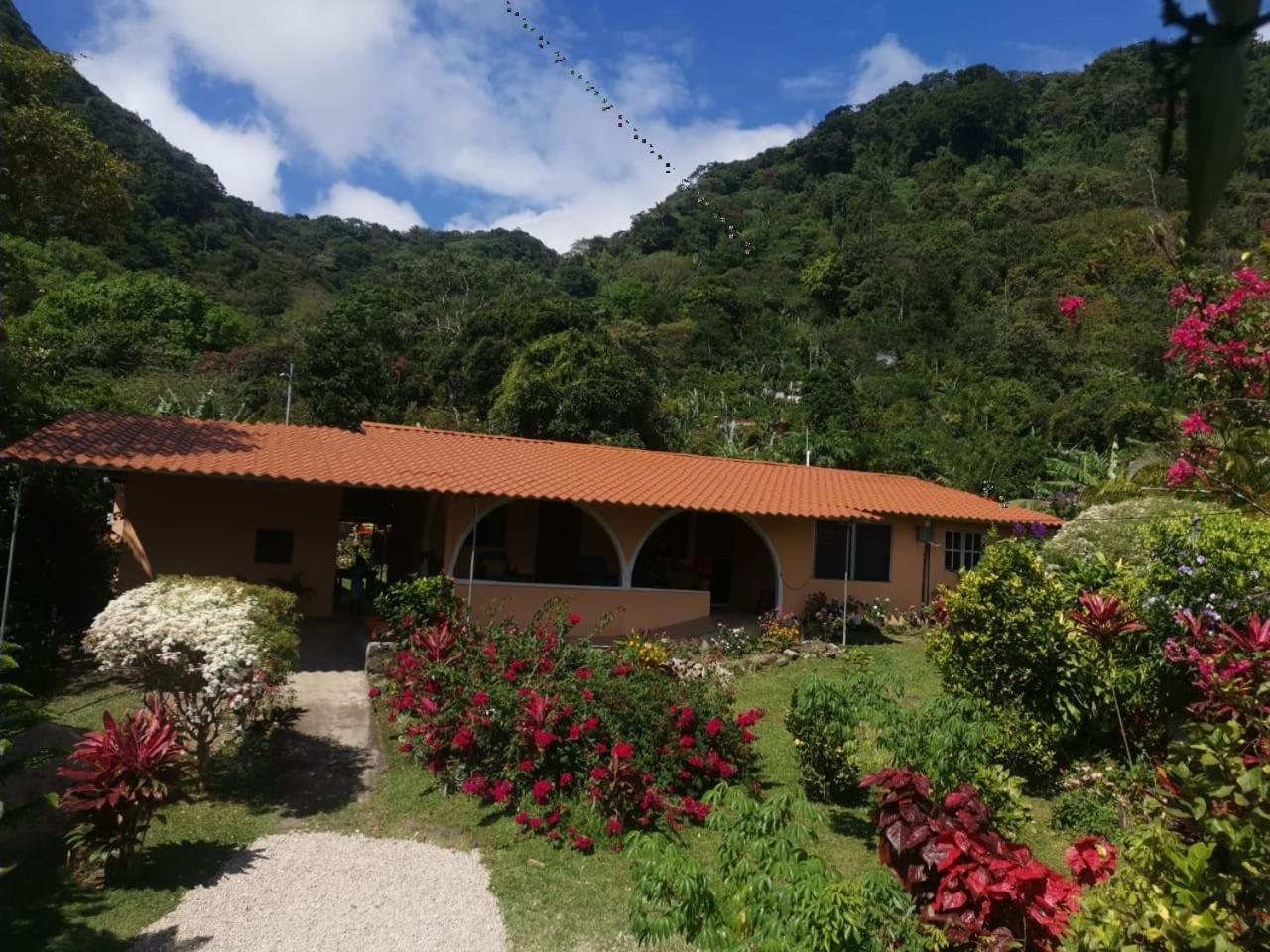Appartement El Zumbito à El Valle de Anton Chambre photo
